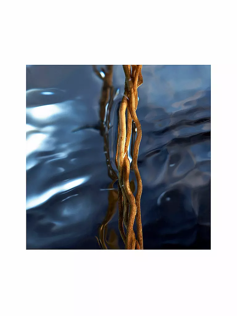 DAVIDOFF | Cool Water Reborn Man Eau de Toilette 75ml | keine Farbe