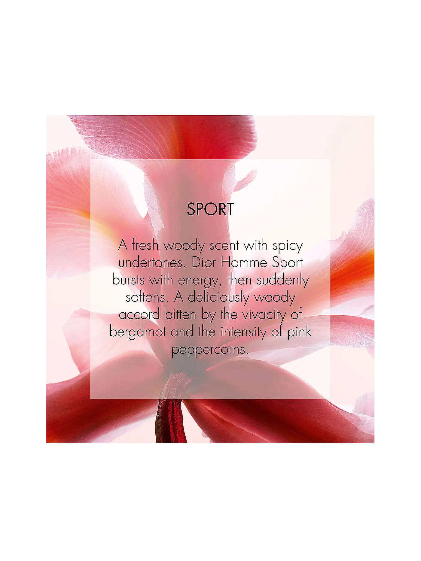 DIOR | Homme Sport Eau de Toilette 125ml | keine Farbe