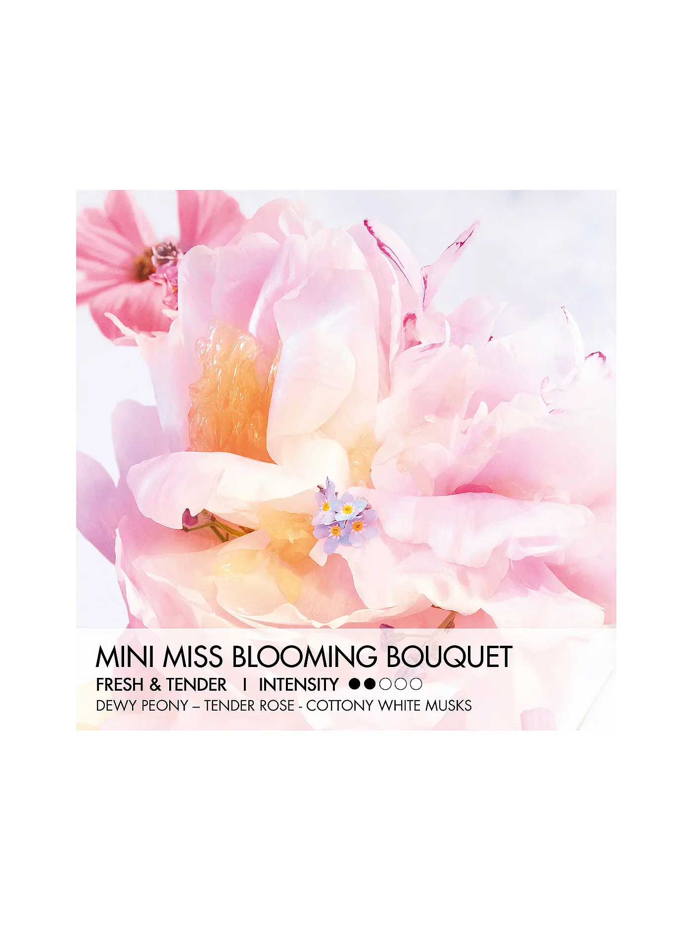 DIOR | Miss Dior Blooming Bouquet  Mini Miss Parfum Stick 3,2g | keine Farbe