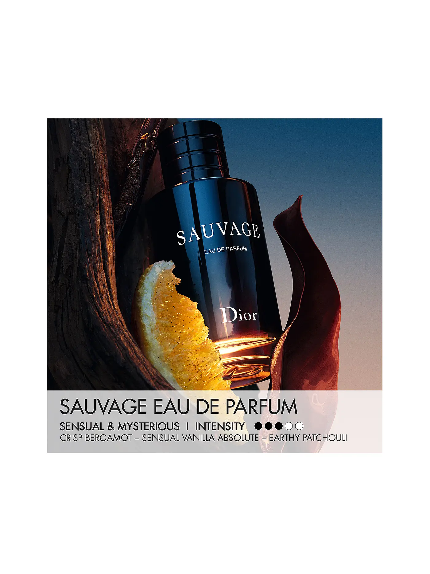 DIOR | Sauvage Eau de Parfum 60ml | keine Farbe