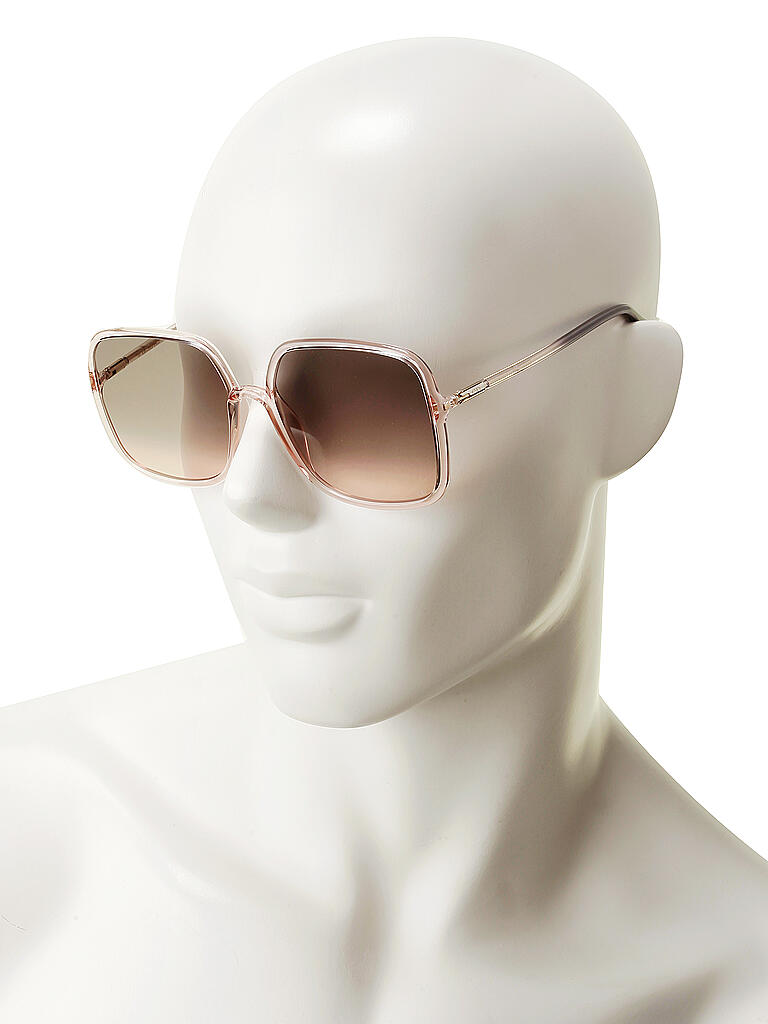 DIOR | Sonnenbrille SOSTELLAIRE1 1N5/FF | transparent