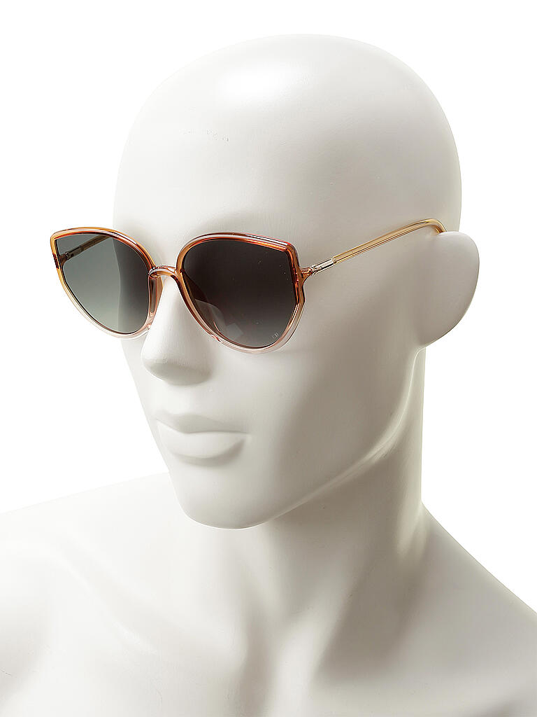 DIOR | Sonnenbrille Sostellaire4 | transparent