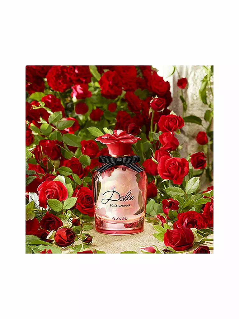 DOLCE&GABBANA | Dolce Rose Eau de Toilette 50ml | keine Farbe