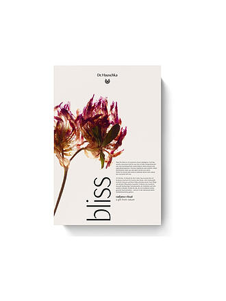 DR. HAUSCHKA | Adventkalender 2026 bliss