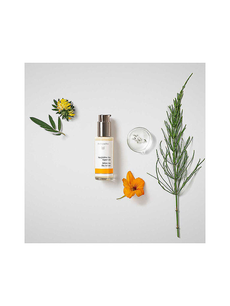 DR. HAUSCHKA | Geschenkset - Ausgleichendes Tagesfluid 50ml / 10ml | keine Farbe