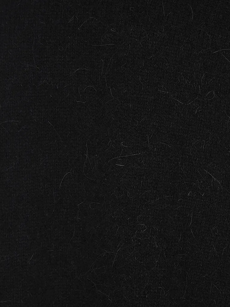 DRYKORN | Rollkragenpullover SARWEN 1 | 