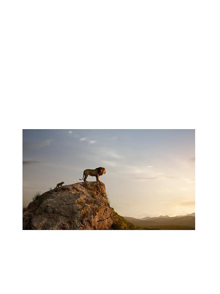 Der König Der Löwen 2019 Deutsche Synchronsprecher DVD Der König der Löwen (Live Action) keine Farbe