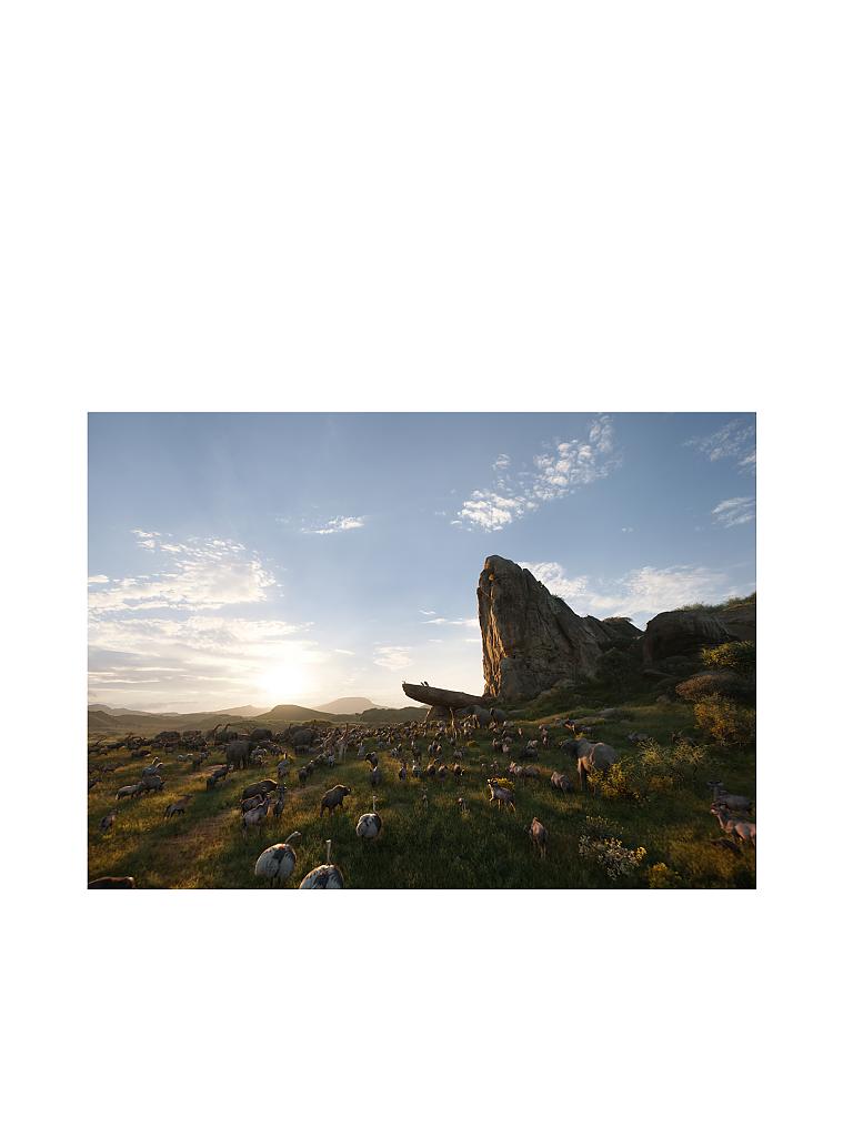 Der König Der Löwen 2019 Deutsche Synchronsprecher DVD Der König der Löwen (Live Action) keine Farbe