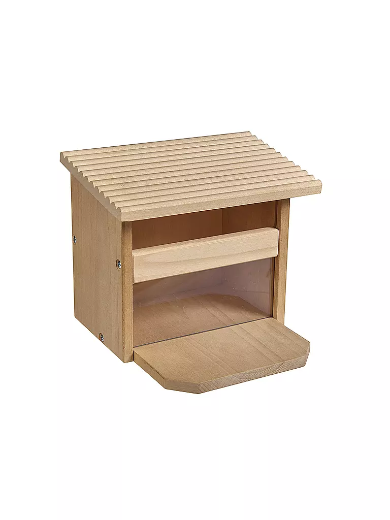 EICHHORN | Outdoor Futterhaus Eichhörnchen | keine Farbe