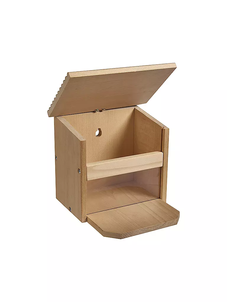 EICHHORN | Outdoor Futterhaus Eichhörnchen | keine Farbe