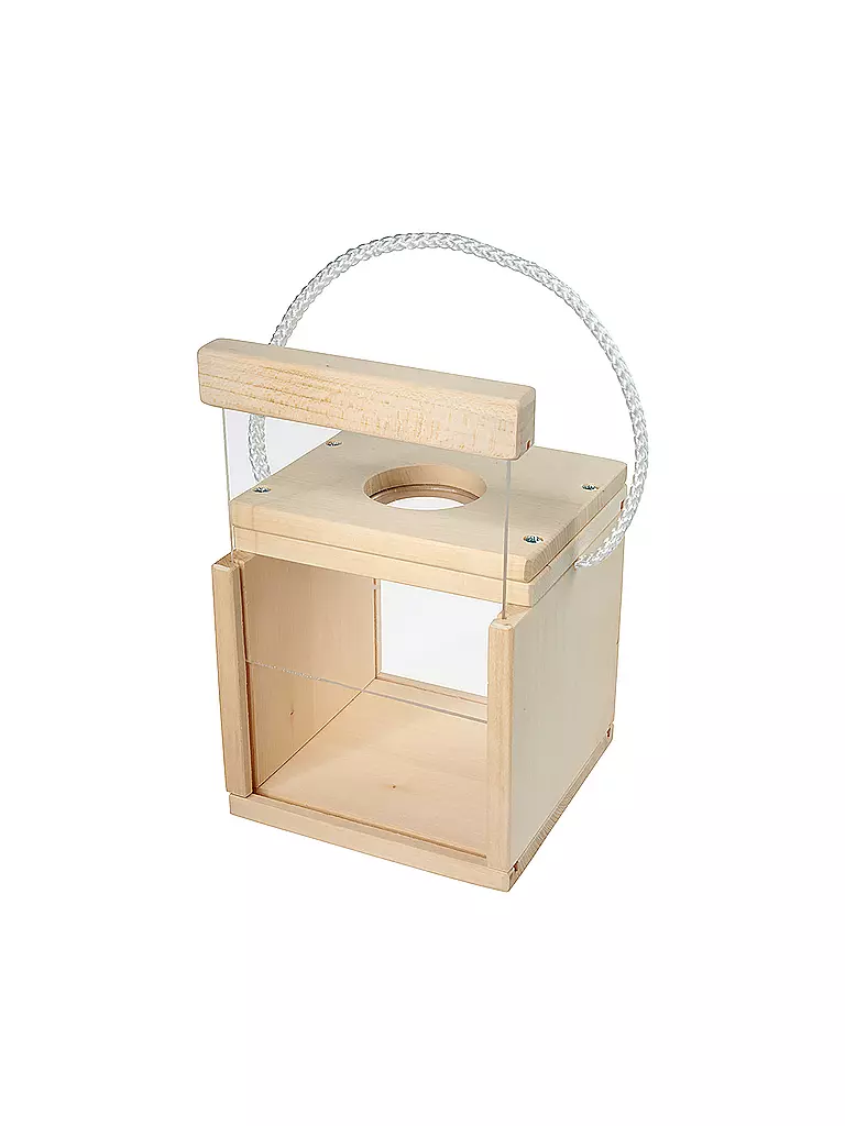 EICHHORN | Outdoor Insekten Beobachtung | keine Farbe