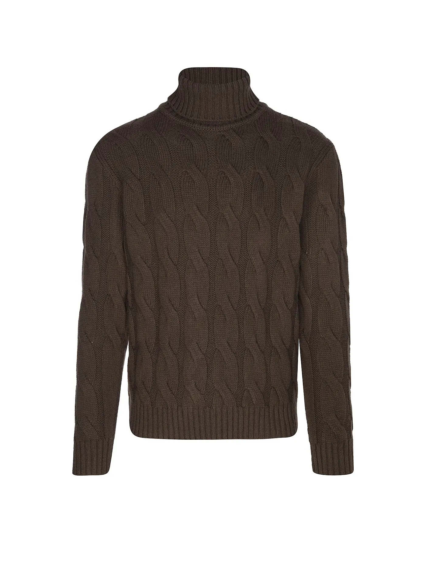 ELEVENTY | Rollkragenpullover  | braun