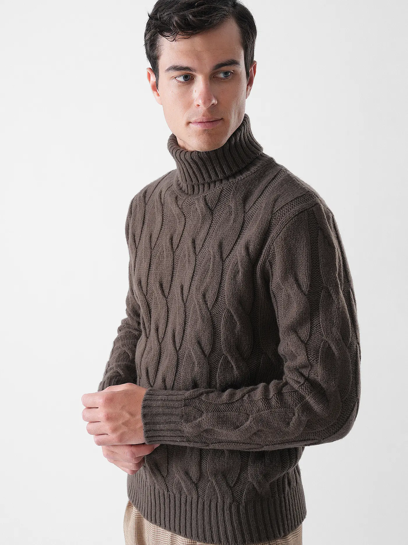 ELEVENTY | Rollkragenpullover  | braun