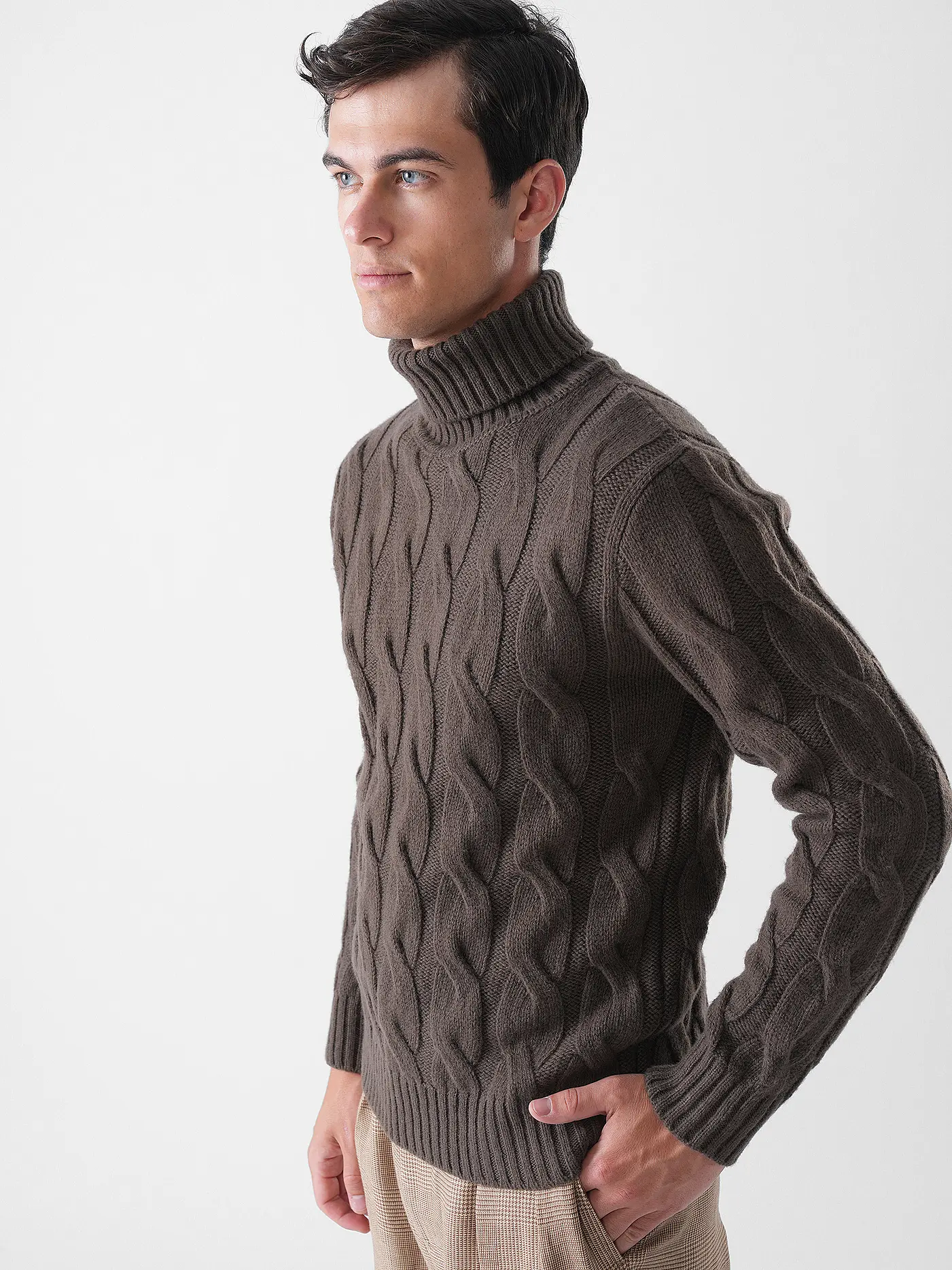 ELEVENTY | Rollkragenpullover  | braun