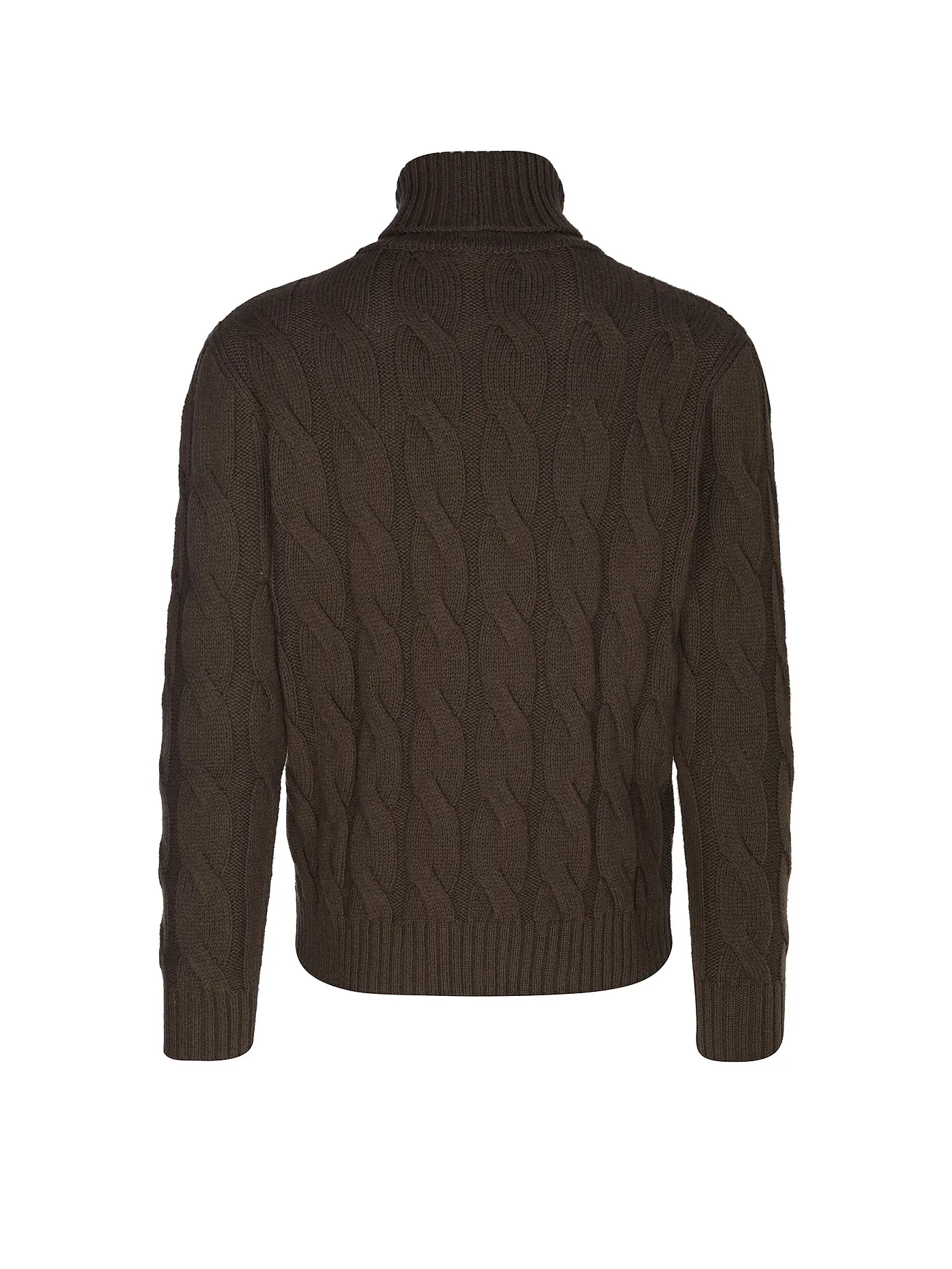 ELEVENTY | Rollkragenpullover  | braun