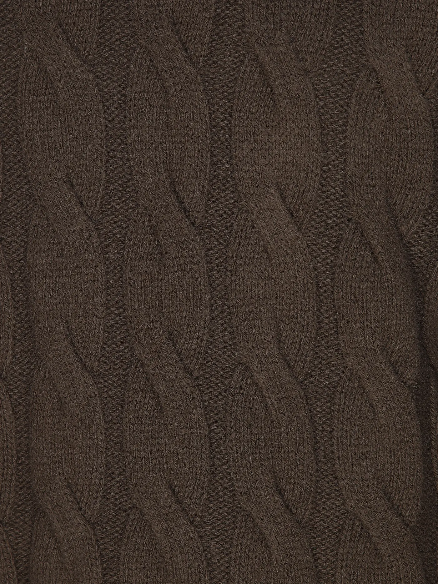 ELEVENTY | Rollkragenpullover  | braun