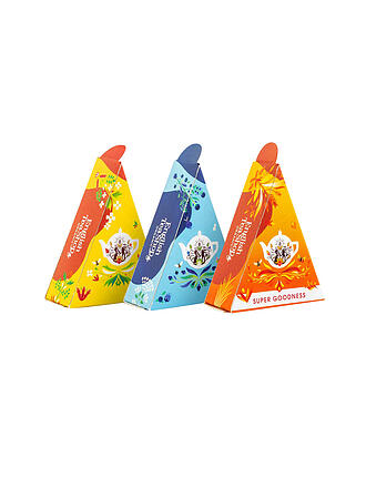 ENGLISH TEA SHOP | Geschenkbox Wellness Tee Kollektion 12 Pyjramiden Beutel