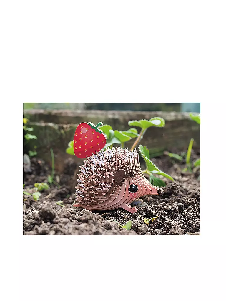 EUGY | 3D Bastelset Igel | keine Farbe