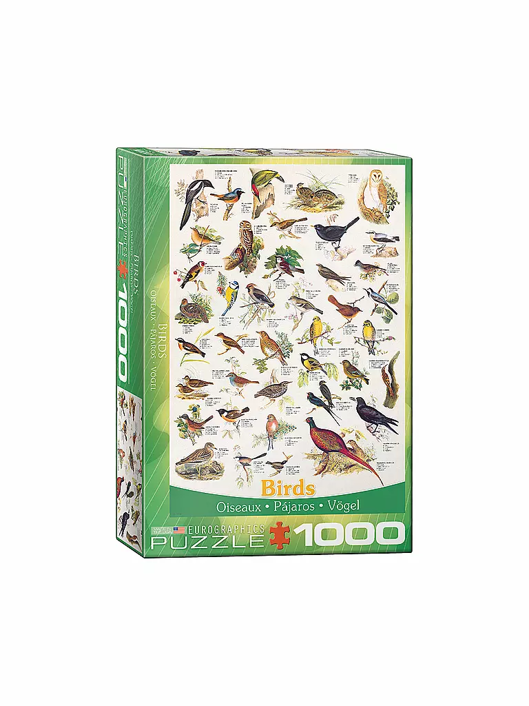 EUROGRAPHICS | Puzzle - Birds (1000 Teile) | bunt