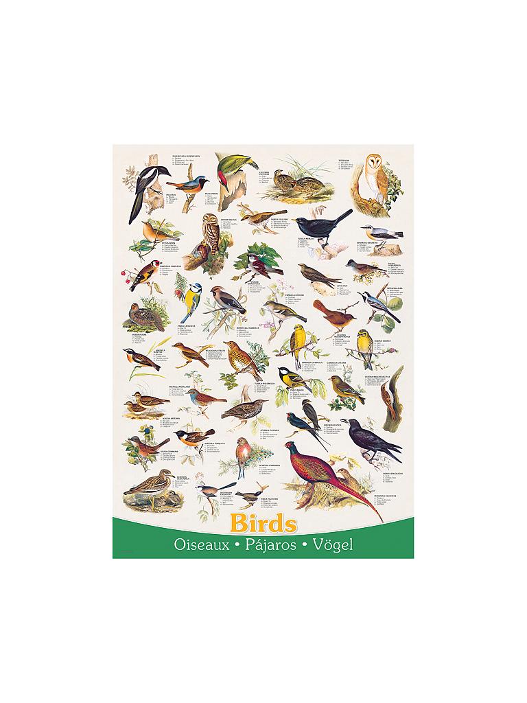 Eurographics Puzzle 1000 Teile - La Havana Kuba - 48x68 Cm Aus Recyceltem Papier