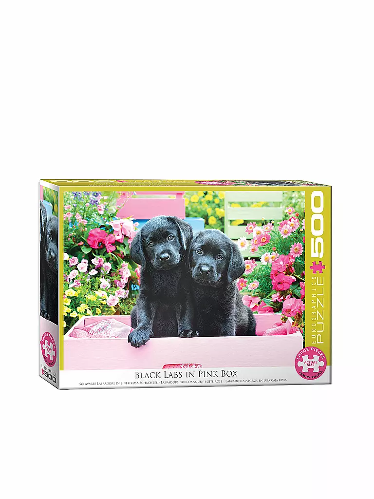 EUROGRAPHICS | Puzzle - Black Labs in Pink Box 500 Teile | keine Farbe