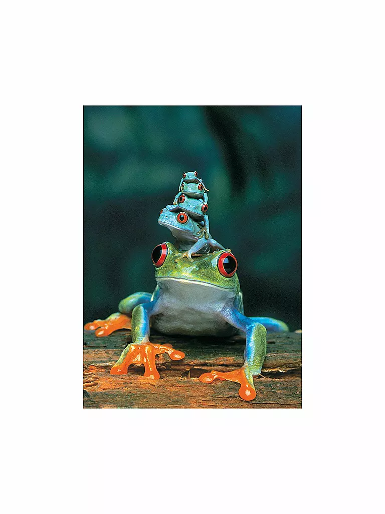 EUROGRAPHICS | Puzzle - Red-Eyed Tree Frog (1000 Teile) | bunt