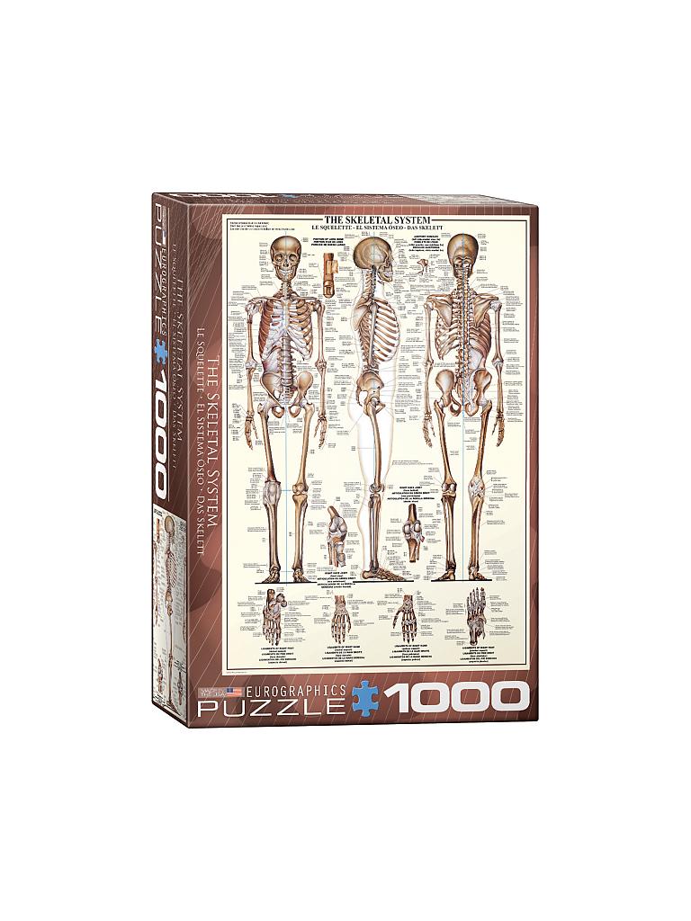 EUROGRAPHICS | Puzzle - The Skeletal System (1000 Teile) | bunt