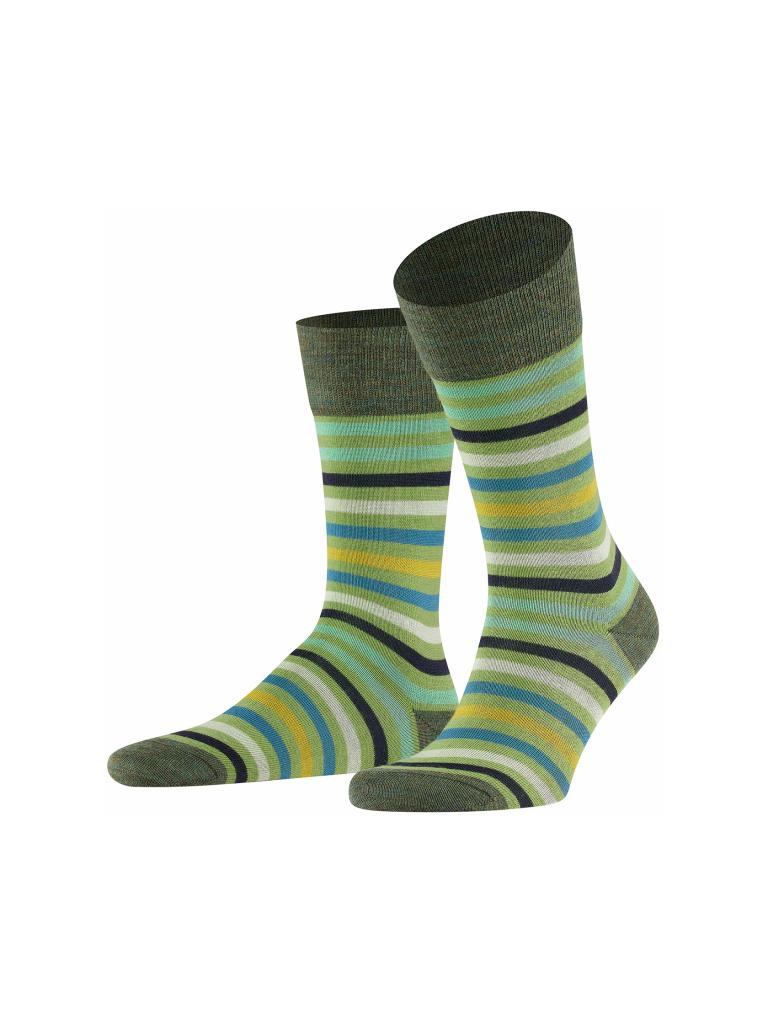 FALKE | Herren Socken Tinted Stripe Cactus | grün