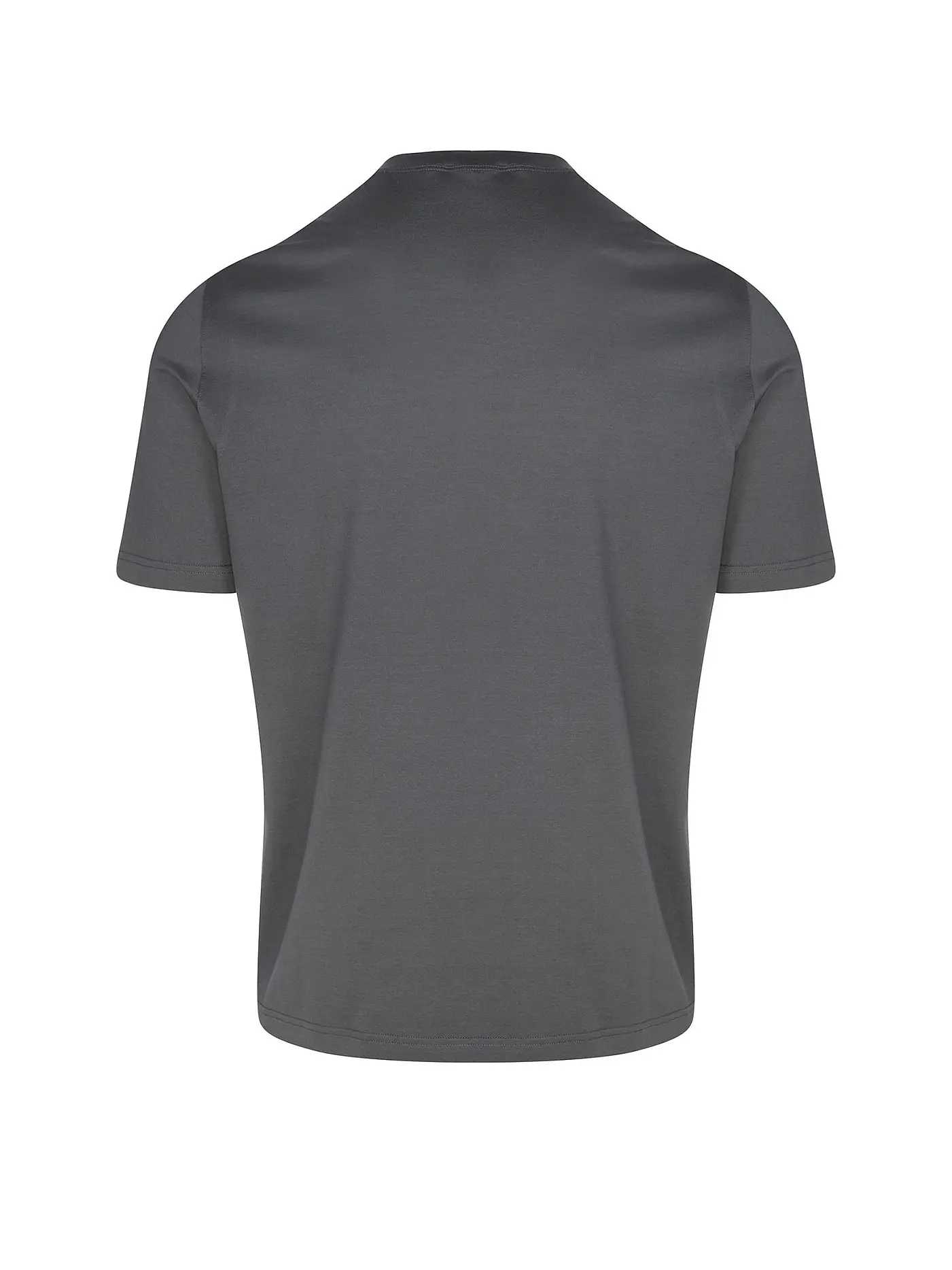 FILIPPO DE LAURENTIIS | T-Shirt  | grau