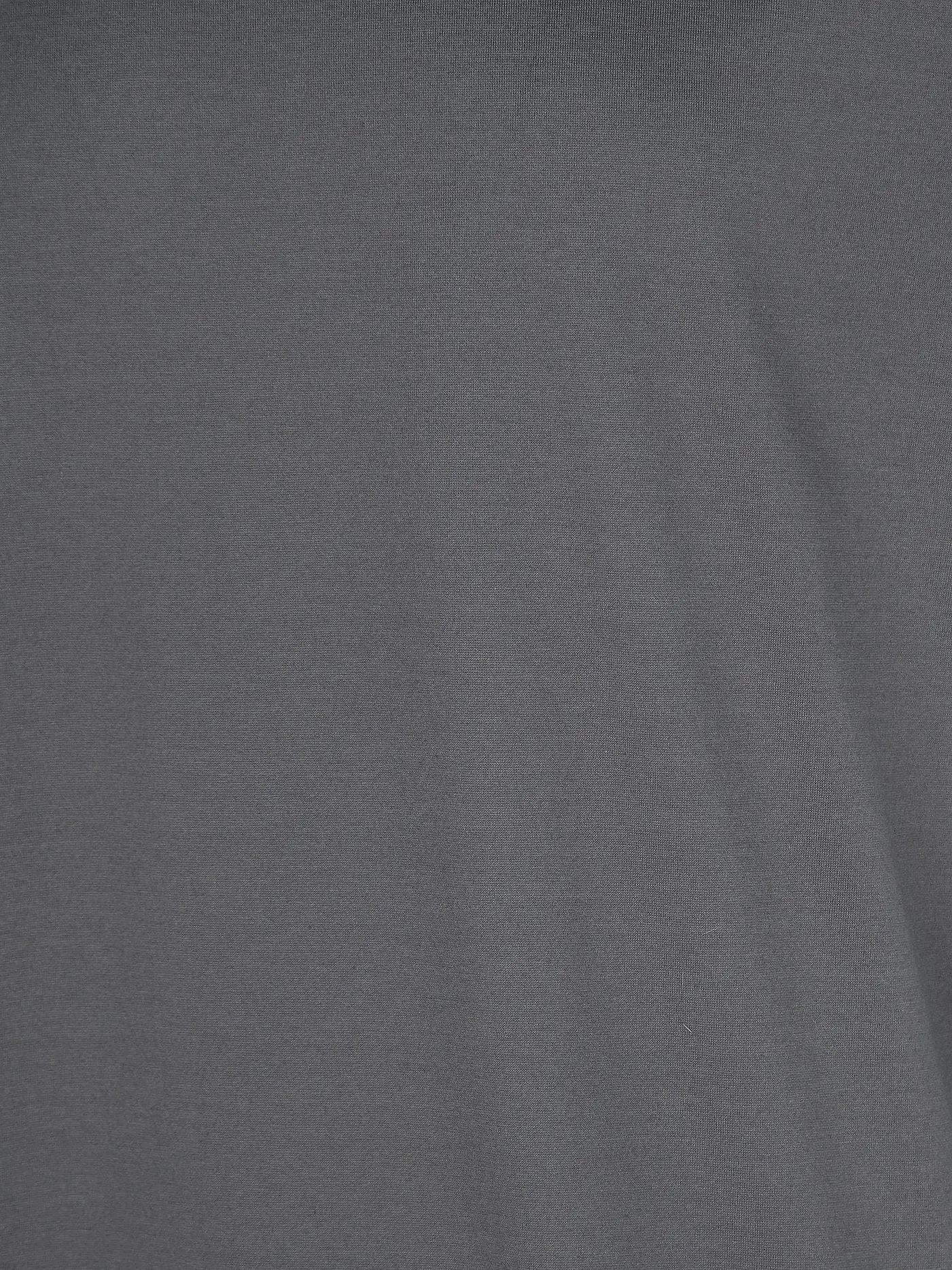 FILIPPO DE LAURENTIIS | T-Shirt  | grau