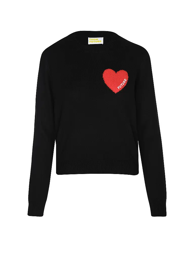 FROM FUTURE | Kaschmirpullover | Schwarz