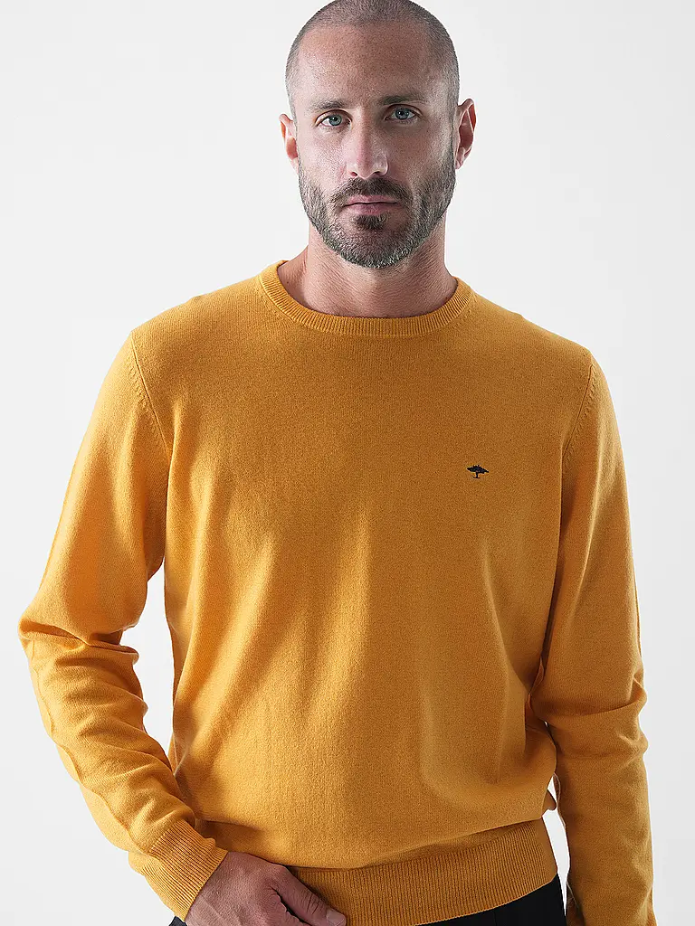 FYNCH-HATTON | Pullover | 