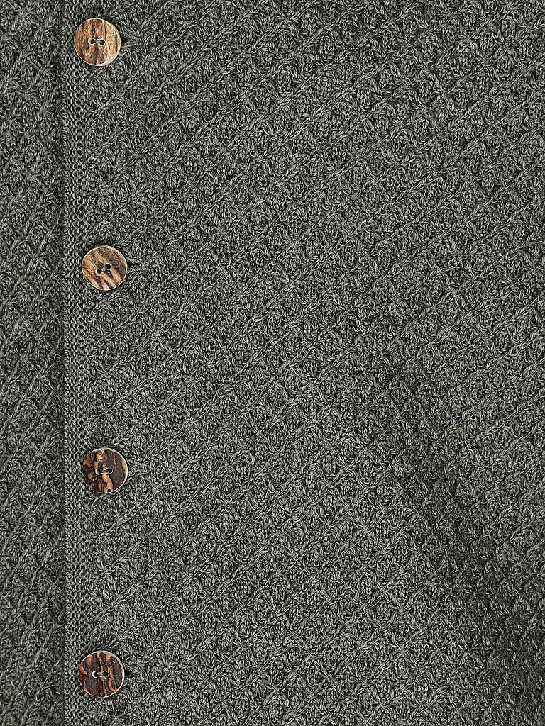GOTTSEIDANK | Trachtenstrickjacke XAVER | olive