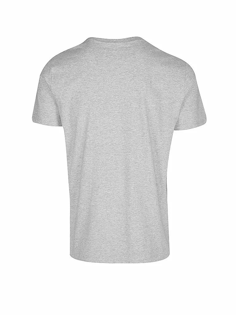 GREENBOMB | T-Shirt BIKE ROAD JUNKIE | grau