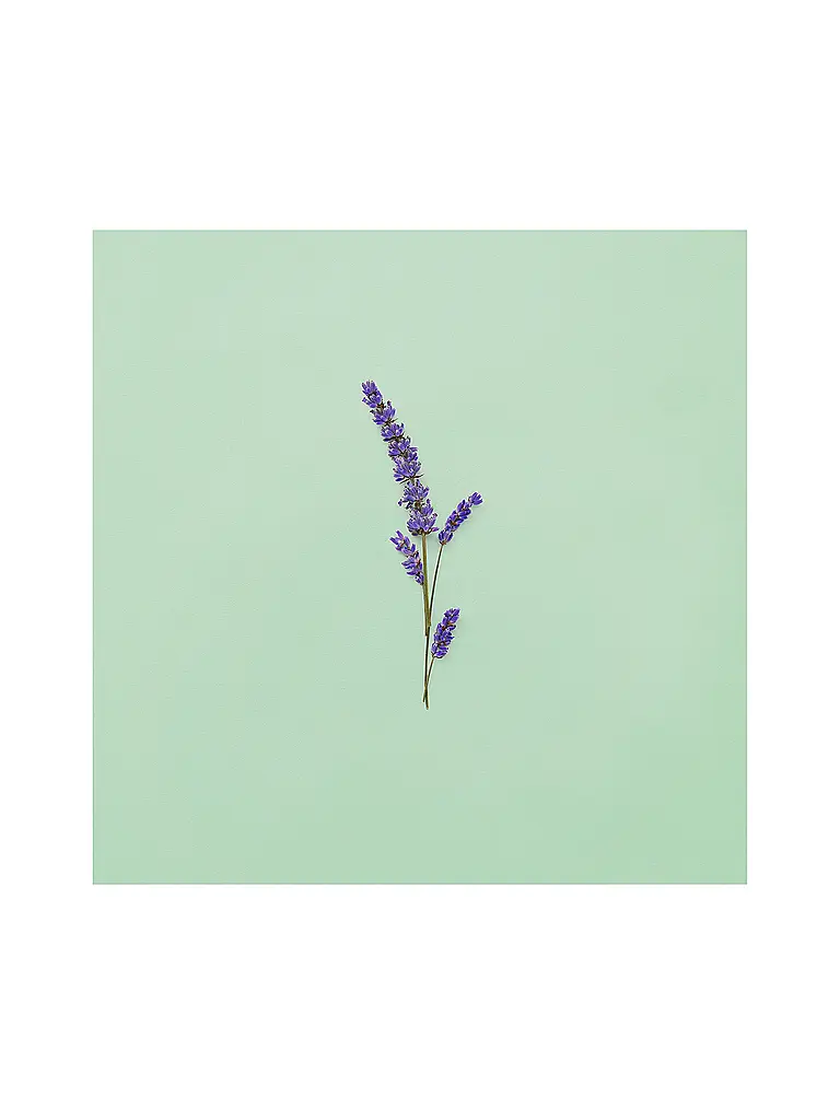 GUCCI | Guilty Pour Homme Deodorant 75ml | 