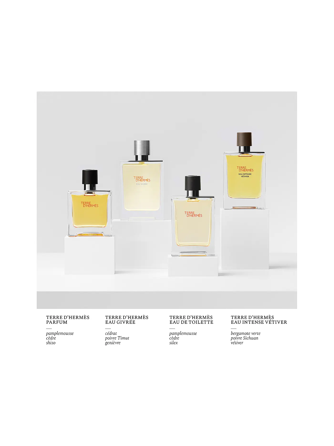 HERMÈS | Terre d'Hermès Nachfüllflakon Parfum 125ml | keine Farbe