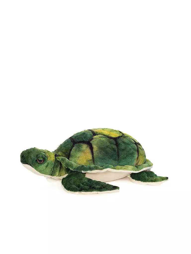 Was Braucht Man Für Eine Wasserschildkröte HERMANN TEDDY Plüschtier - Wasserschildkröte 23 cm keine Farbe