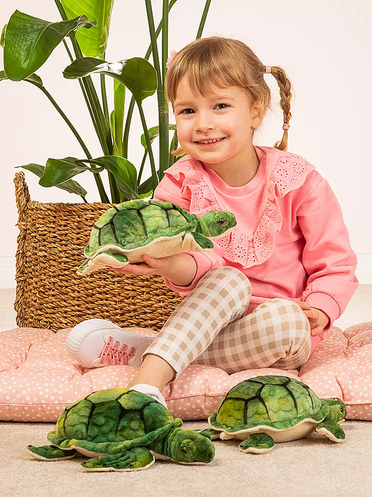 Was Braucht Man Für Eine Wasserschildkröte