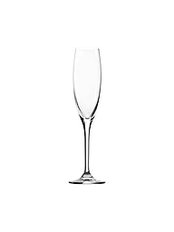 ILIOS | Sektglas - Sektkelche 6er Set Nr.4 0,17l  | Transparent