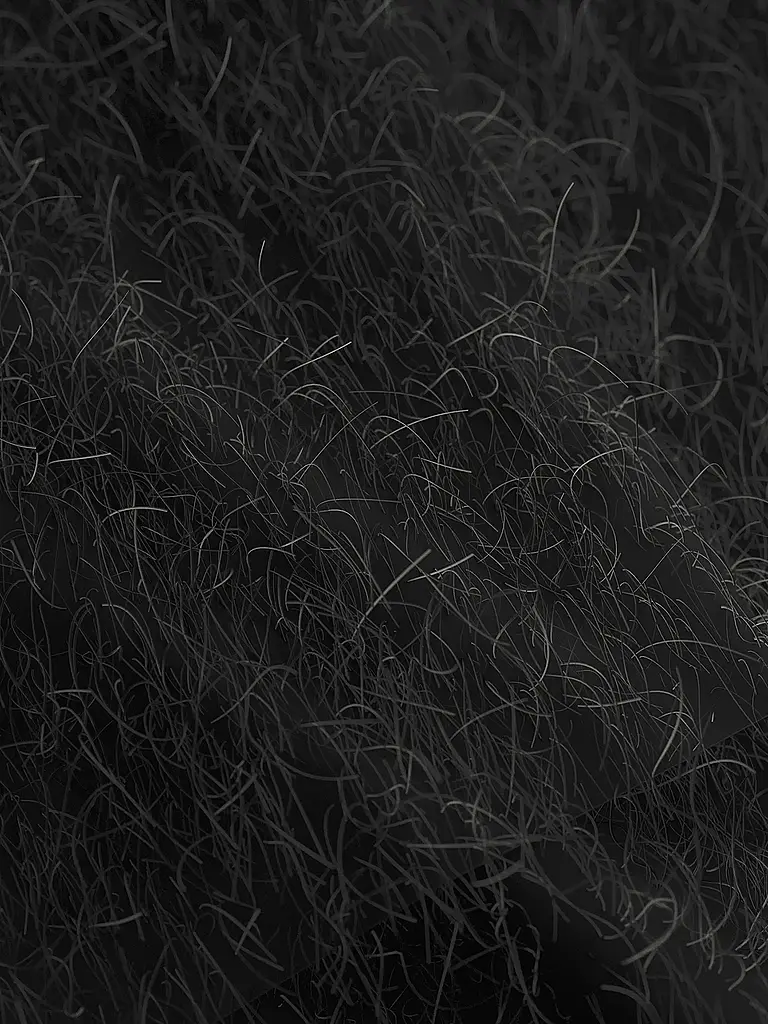 JOOP | Blusenshirt  | Schwarz