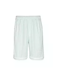 KARL KANI | Shorts | mint
