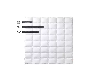 KAUFFMANN Daunen-Kassettendecke "Premium 750" 140x220cm (580g warm)