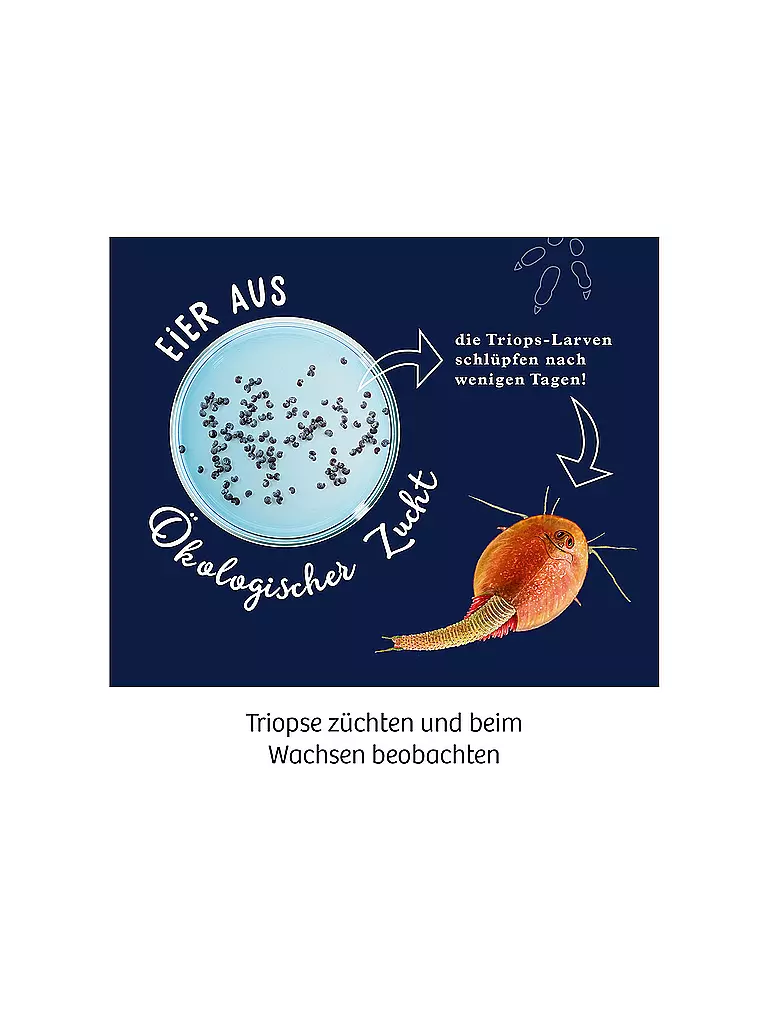 KOSMOS | Fun Science Triops züchten | keine Farbe