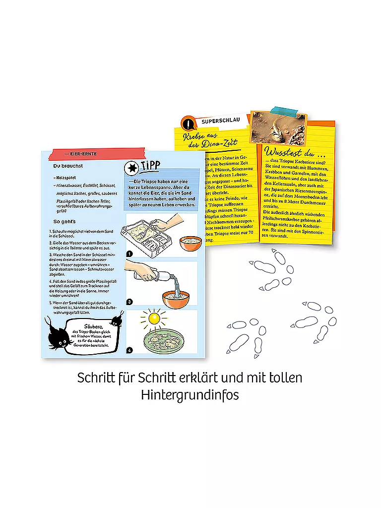 KOSMOS | Fun Science Triops züchten | keine Farbe