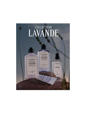 L'OCCITANE | Lavande Schaumbad 500ml 