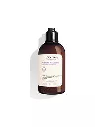 L'OCCITANE | Gentle & Balance Conditioner 250ml | keine Farbe