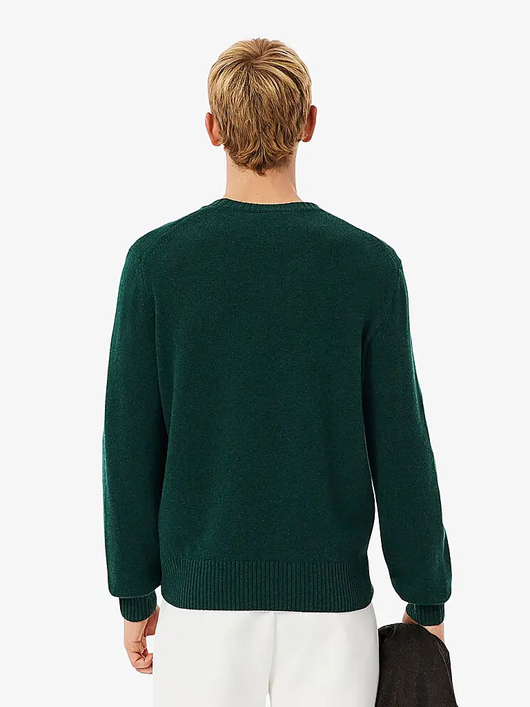 LACOSTE | Pullover  | dunkelgrün