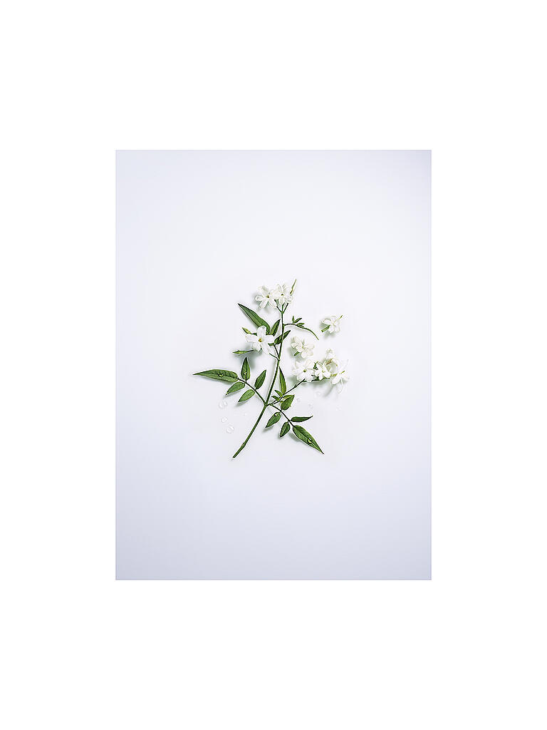 LANCÔME | Maison Lancôme Jasmin d'Eau Floral Perfume 100ml | keine Farbe