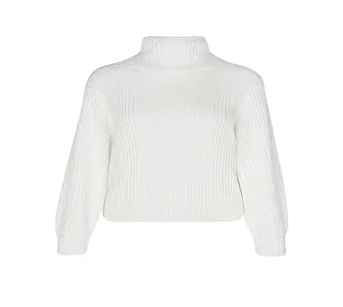 LANIUS Rollkragenpullover