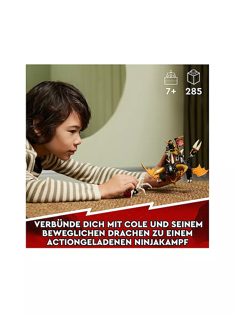 LEGO | Ninjago -Coles Erddrache EVO 71782 | keine Farbe